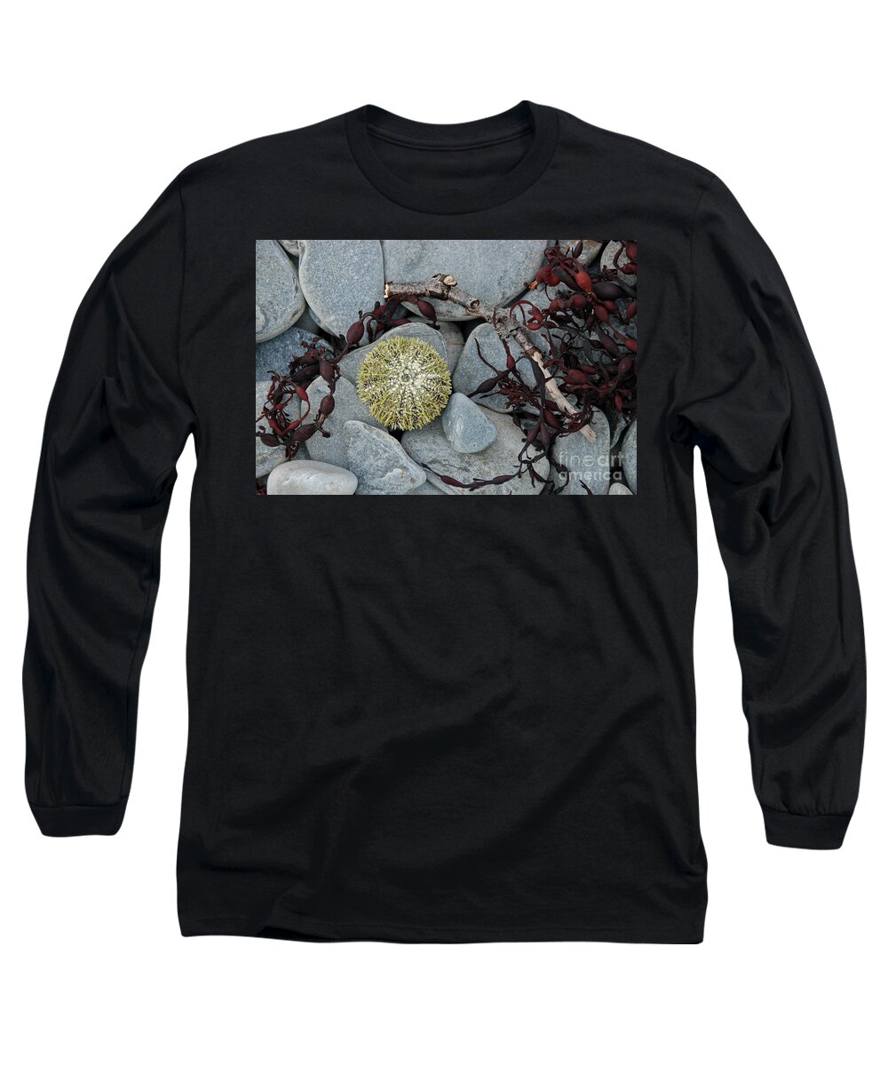 Animal Long Sleeve T-Shirt featuring the photograph Urchin and Kelp on Rocks by Nancy Gleason