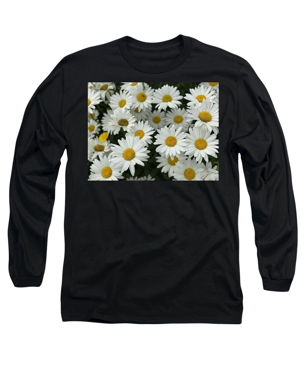 White Long Sleeve T-Shirt featuring the photograph White Daisies by Jerry Abbott