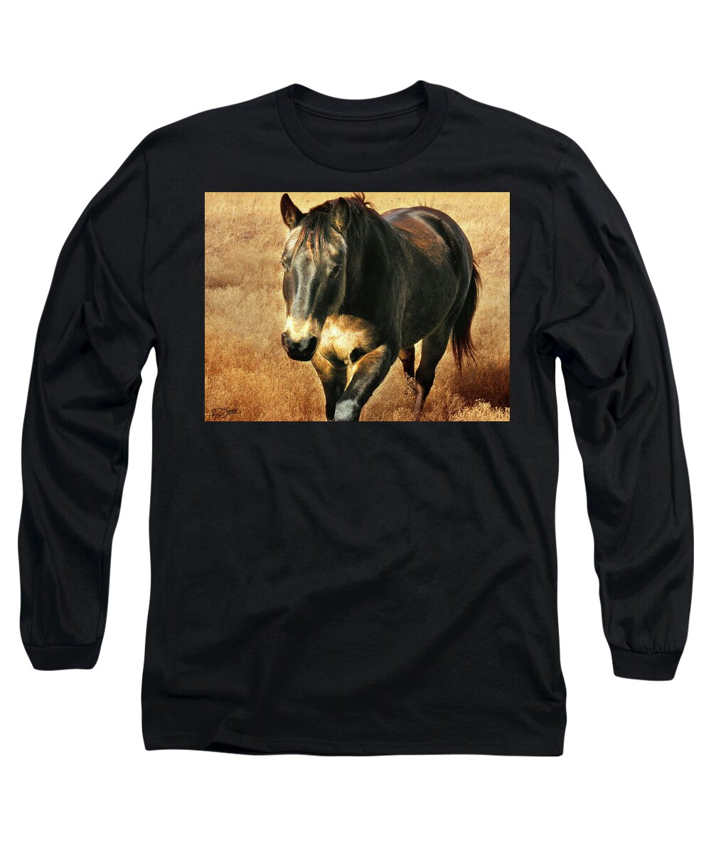Horse Long Sleeve T-Shirt featuring the photograph Wild Beauty by Rod Seel