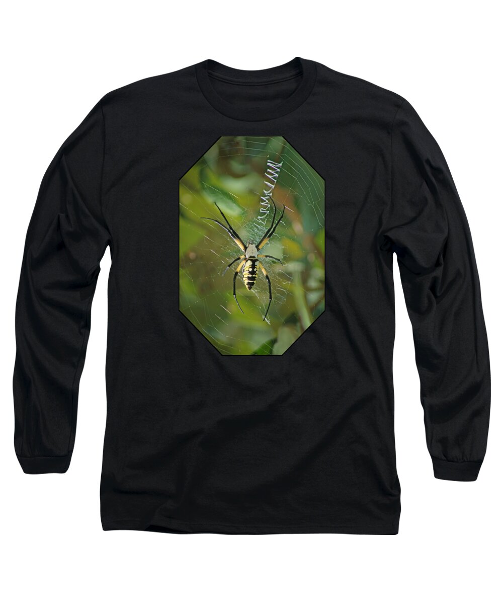 Insects Long Sleeve T-Shirt featuring the photograph Yellow Garden Spider by Nikolyn McDonald