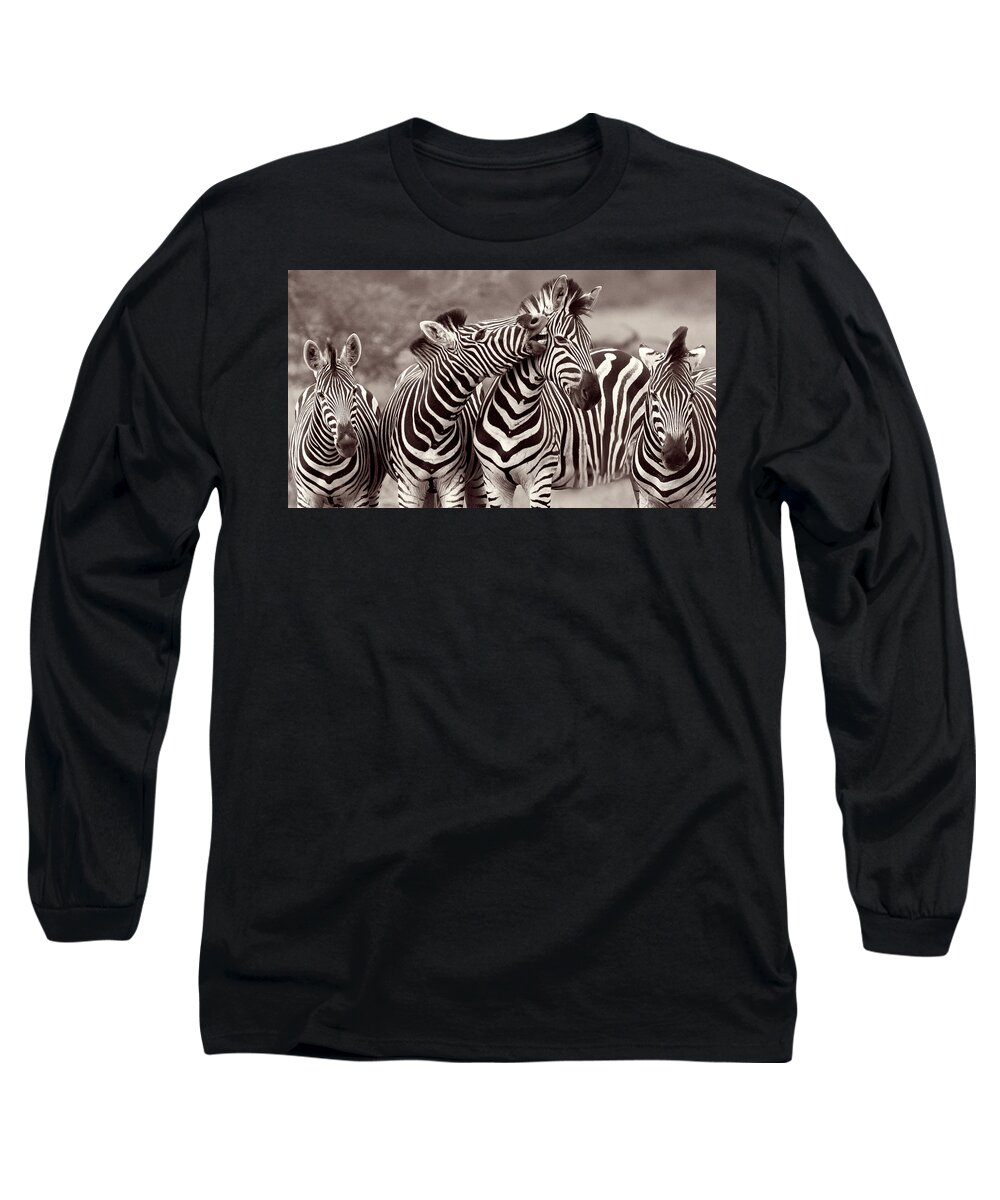  Long Sleeve T-Shirt featuring the mixed media Zebra Jam by Cindy Greenstein