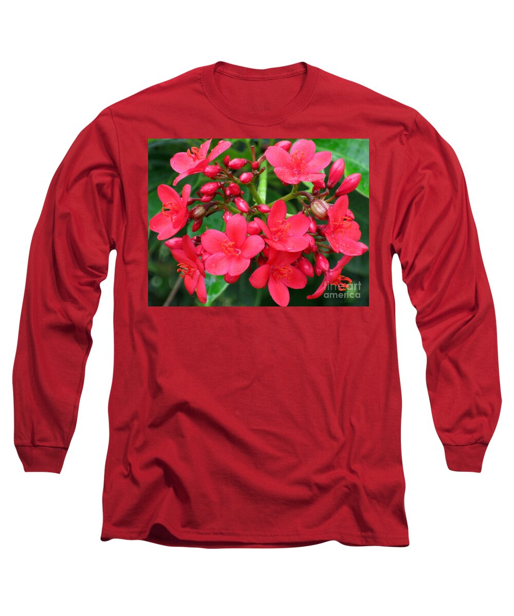 Spring Long Sleeve T-Shirt featuring the photograph Lovely Spring Flowers by Oksana Semenchenko