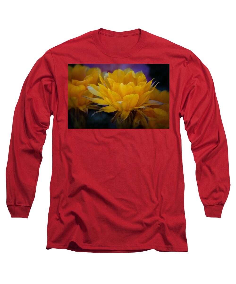 Orange Flower Long Sleeve T-Shirt featuring the photograph Orange Cactus Flowers #2 by Saija Lehtonen