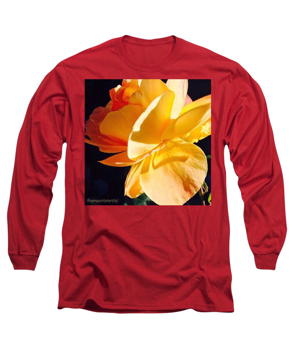 Flower Long Sleeve T-Shirt featuring the photograph A New Day Bright Yellow Orange Rose by Anna Porter