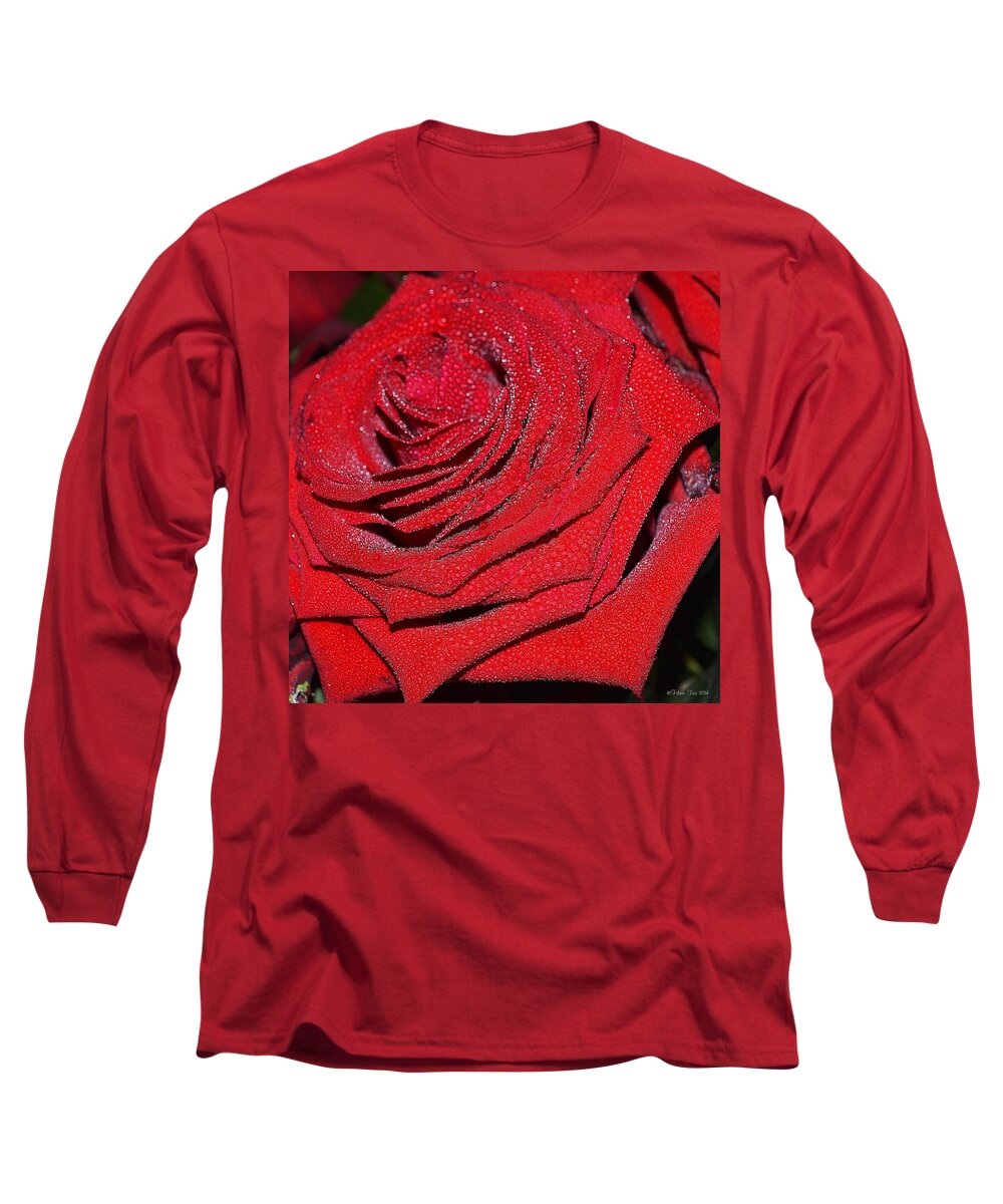 Rose Long Sleeve T-Shirt featuring the photograph Approach by Felicia Tica