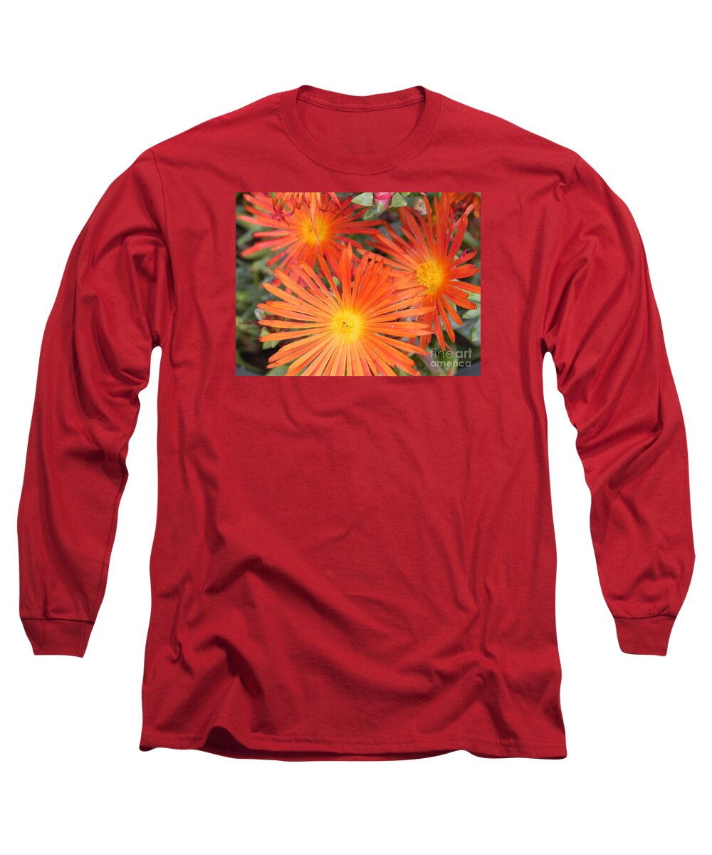 Photography Long Sleeve T-Shirt featuring the photograph Arizona Cactus Flower by Chrisann Ellis