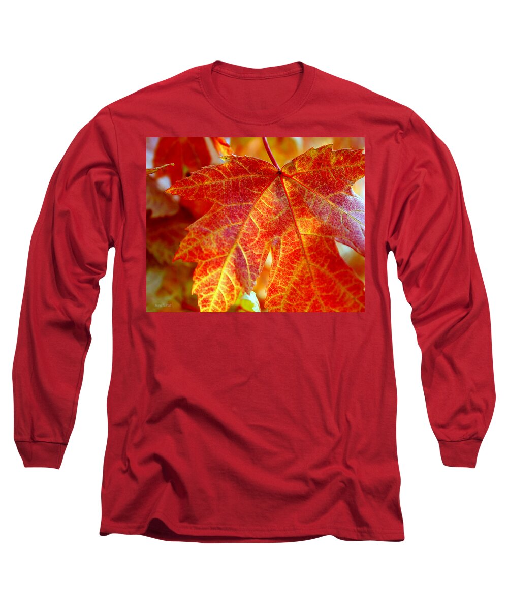 Autumn Long Sleeve T-Shirt featuring the photograph Autumn Blaze by Andrea Platt