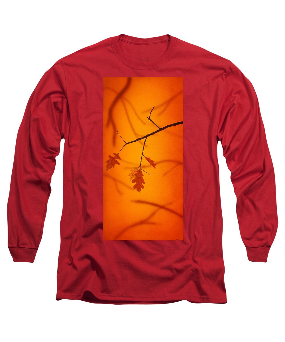 Nature Oak Leaf Branch Orange Red Russet Tree Glow Depth Calm Serene Forest Long Sleeve T-Shirt featuring the painting Autumn by Guy Pettingell