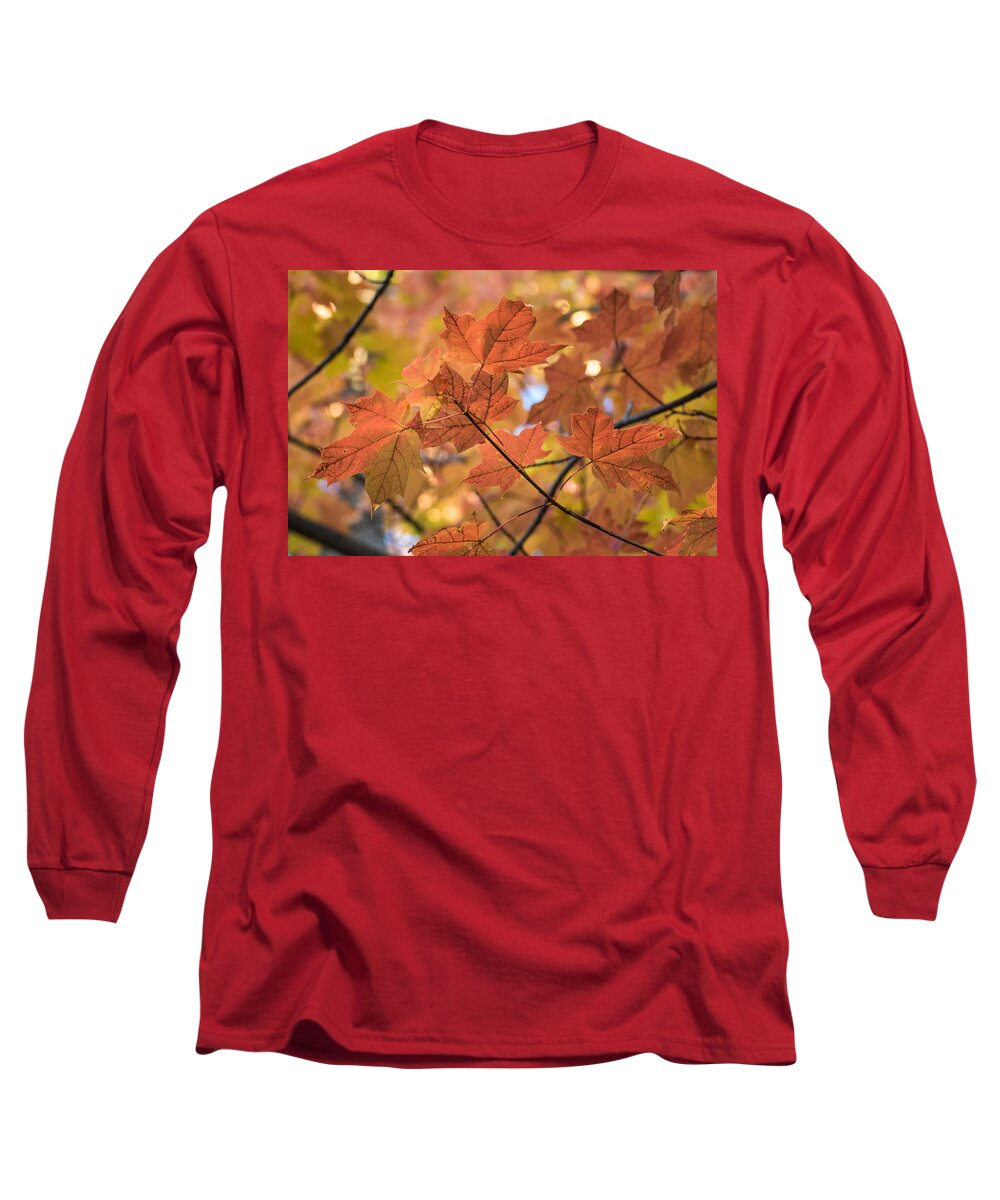 Fall Long Sleeve T-Shirt featuring the photograph Autumn Warmth by Bill Pevlor