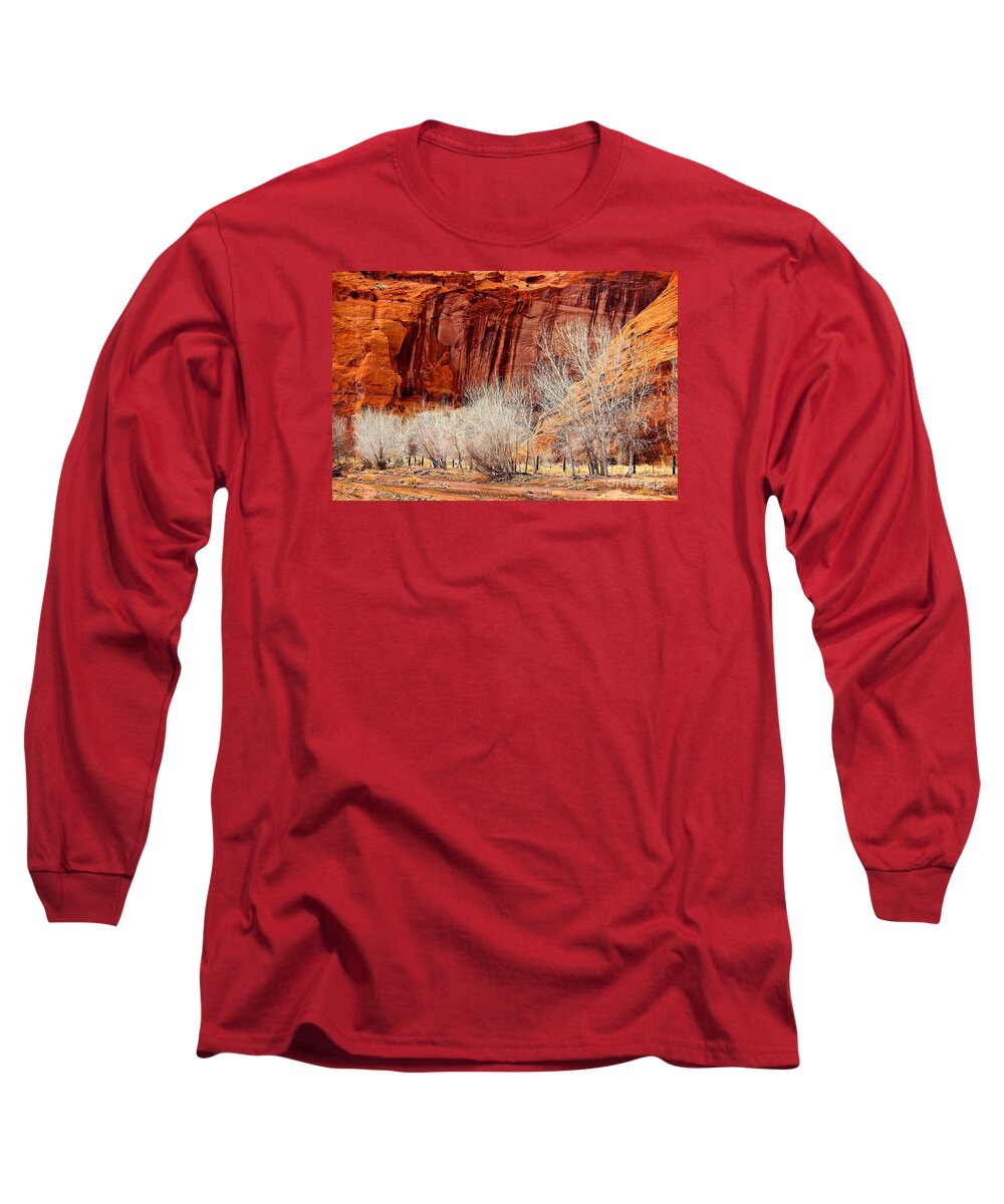 Canyons Long Sleeve T-Shirt featuring the photograph Canyon de Chelly - Spring II by Barbara Zahno