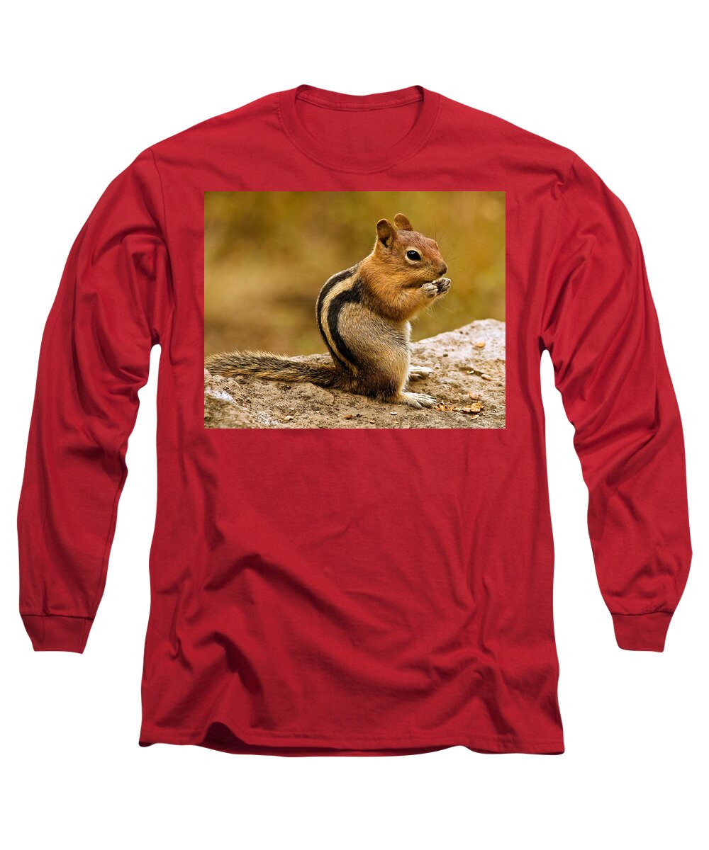 Oregon Long Sleeve T-Shirt featuring the photograph Chipmunk by Jean Noren