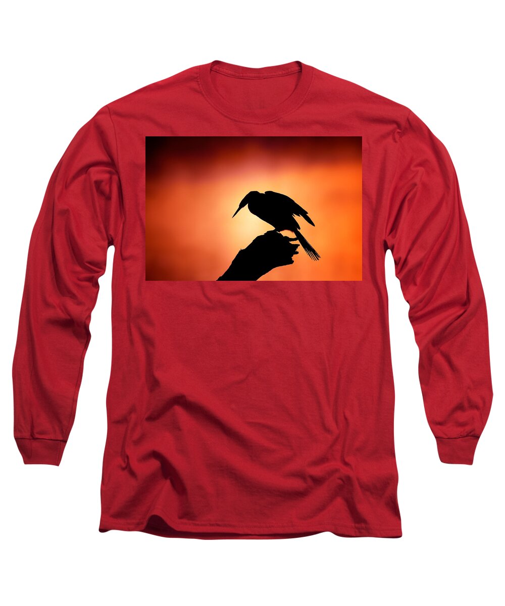 Darter Long Sleeve T-Shirt featuring the photograph Darter silhouette with misty sunrise by Johan Swanepoel