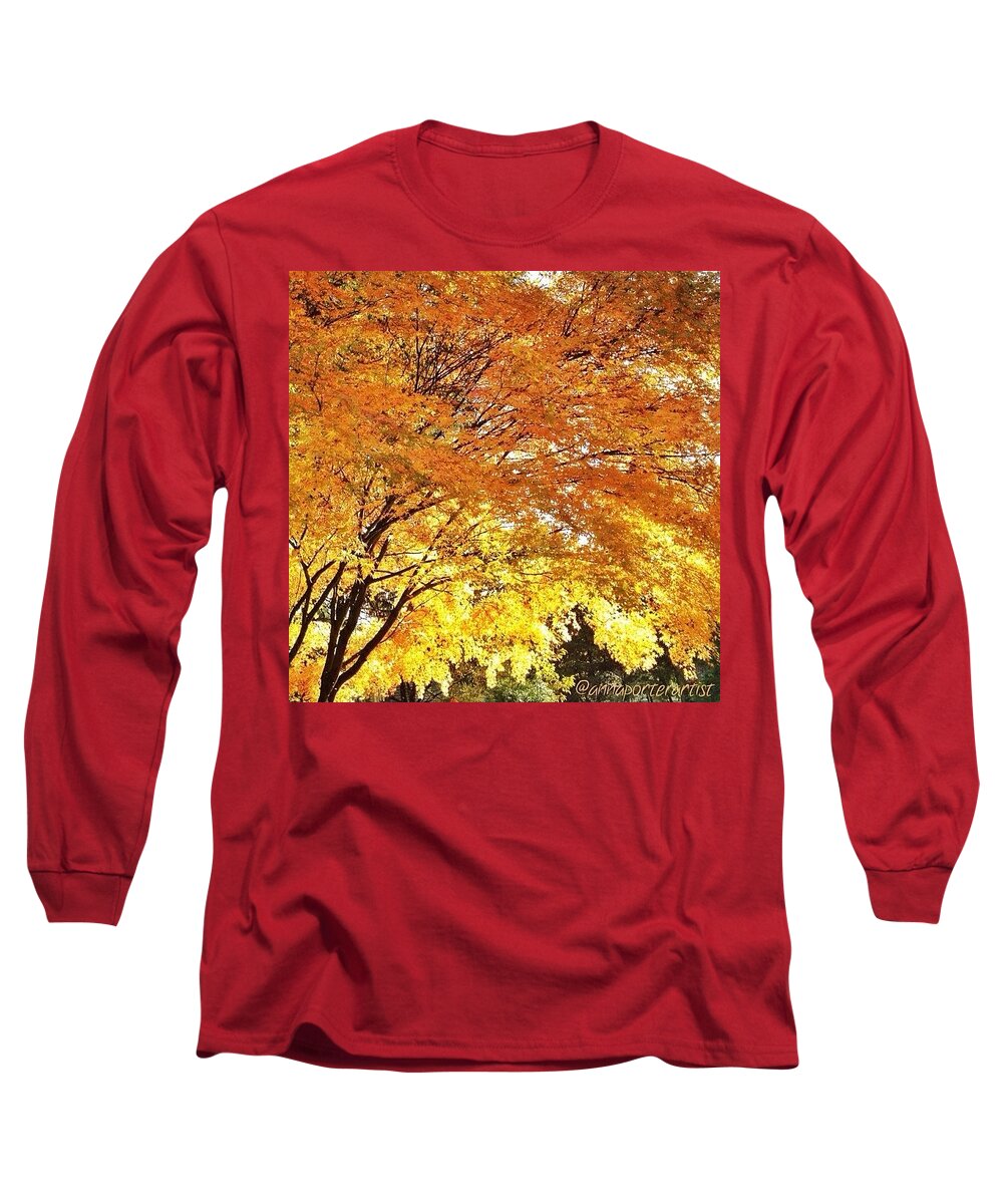 Trees Long Sleeve T-Shirt featuring the photograph Fall Maple Afternoon Light by Anna Porter