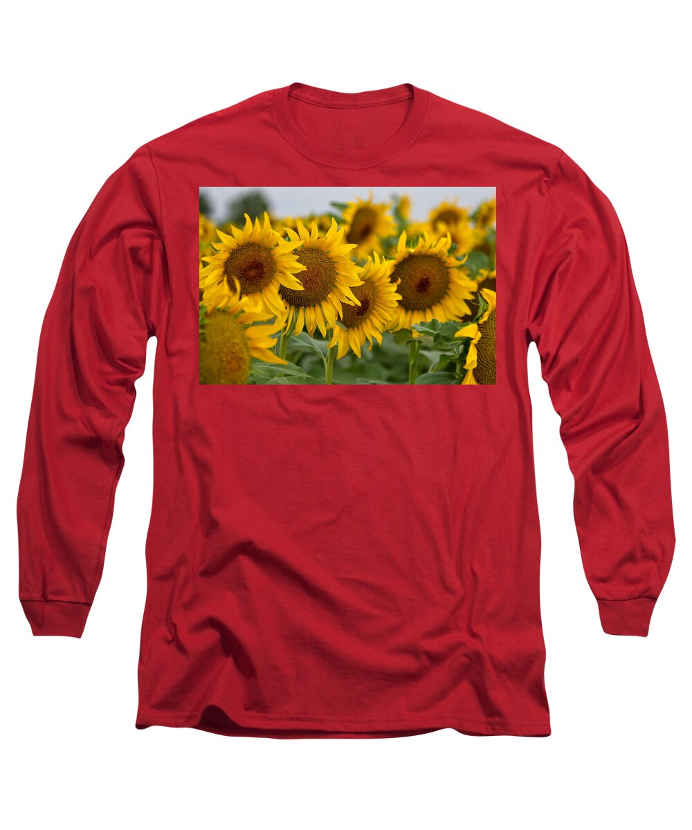 Sunflowers Long Sleeve T-Shirt featuring the photograph Four by Ronda Kimbrow