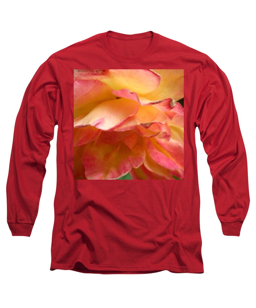Global_nature Long Sleeve T-Shirt featuring the photograph Frilly - Lady Diana Rose From My Summer by Anna Porter