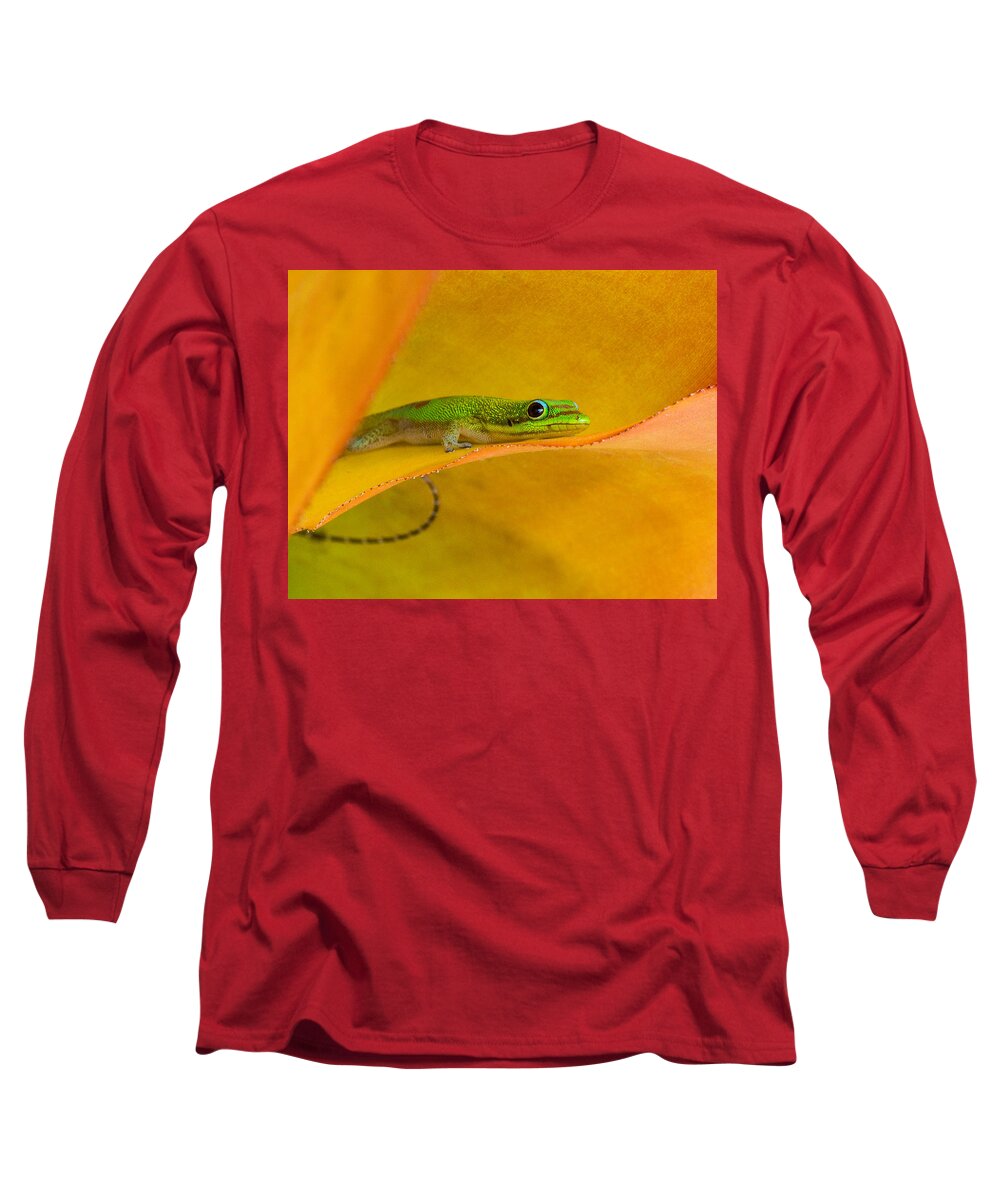 Hamukua Coast Long Sleeve T-Shirt featuring the photograph Gecko in the Leaves by Georgette Grossman