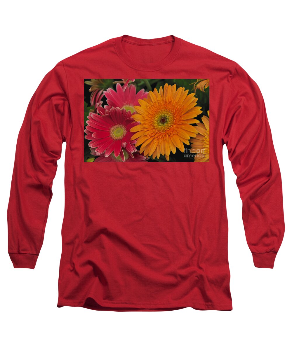 Pink Long Sleeve T-Shirt featuring the photograph Gerbera by William Norton