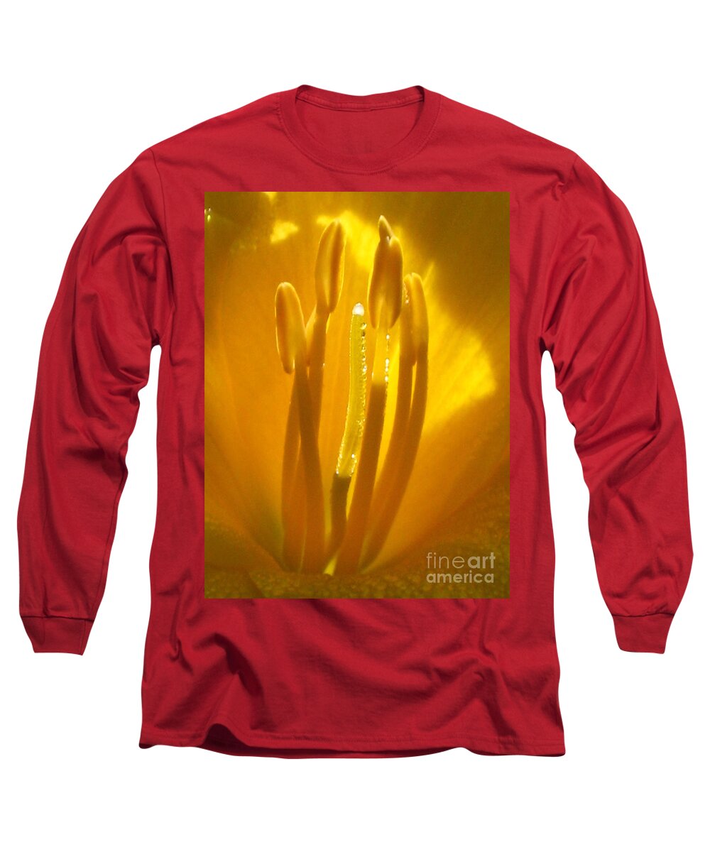 Yellow Long Sleeve T-Shirt featuring the photograph God's light shining through by Jennifer E Doll
