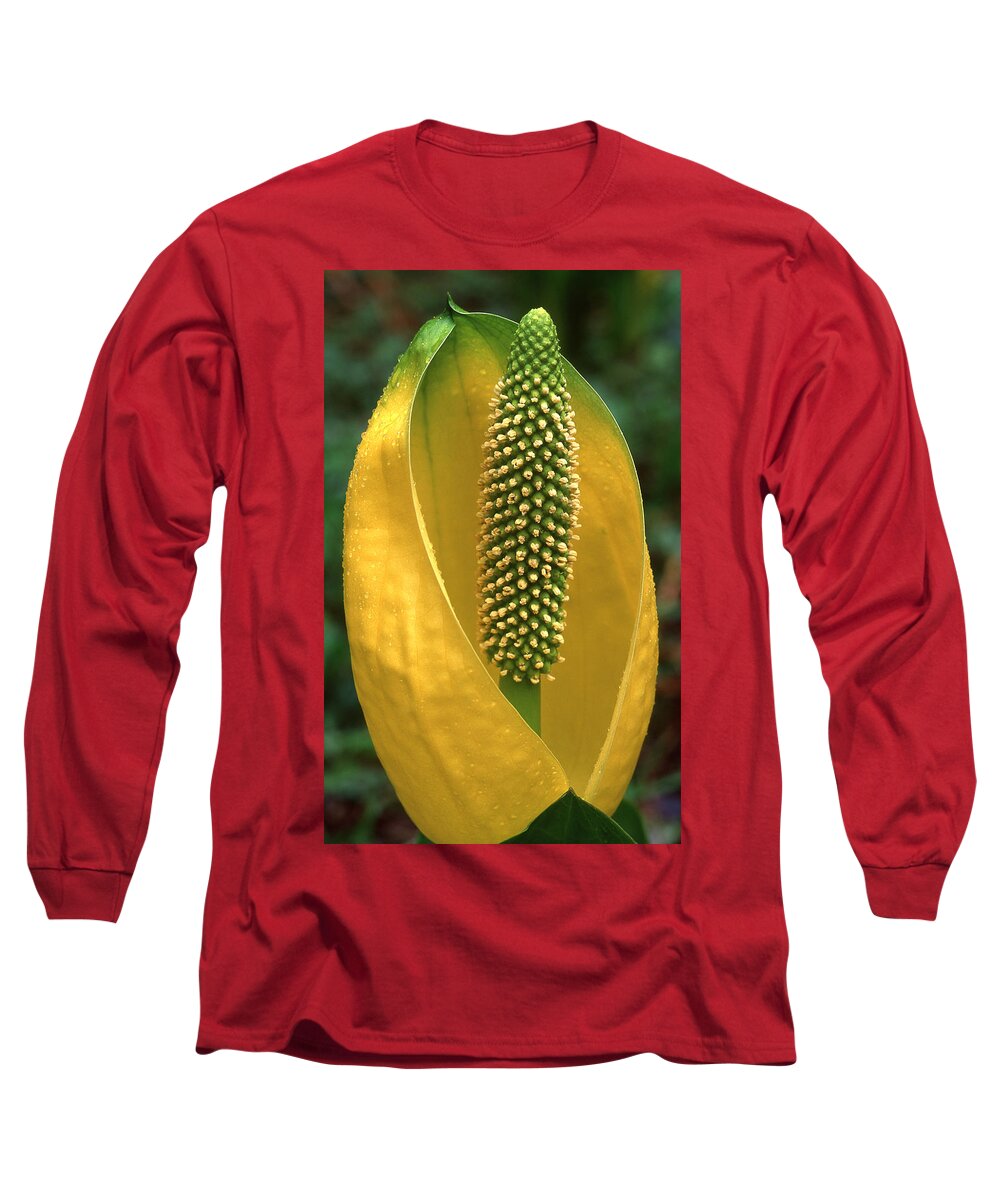 Flowers Long Sleeve T-Shirt featuring the photograph Golden Glow by Ginny Barklow