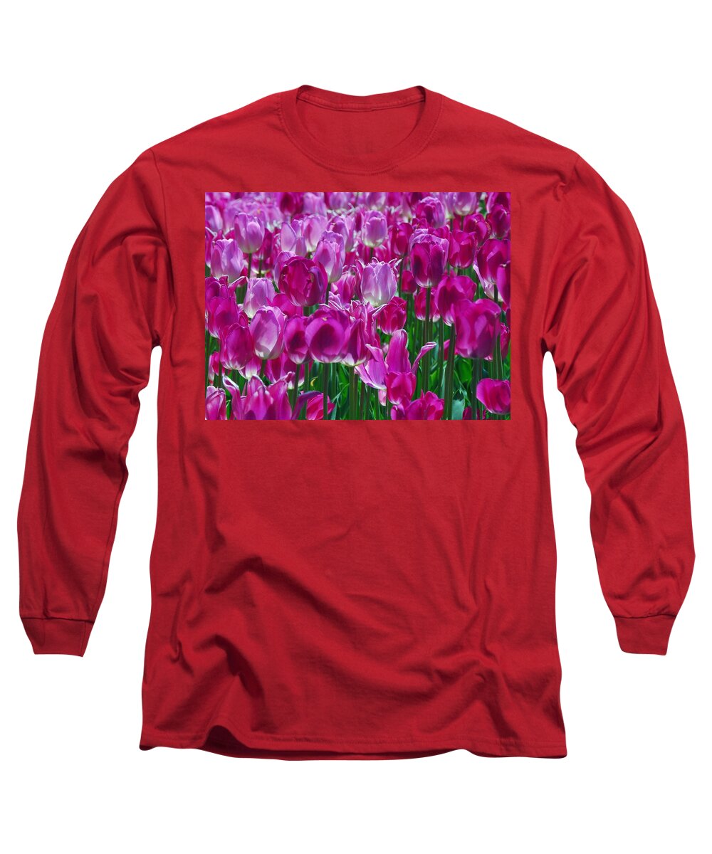Pink Tulips Long Sleeve T-Shirt featuring the photograph Hot Pink Tulips 3 by Allen Beatty