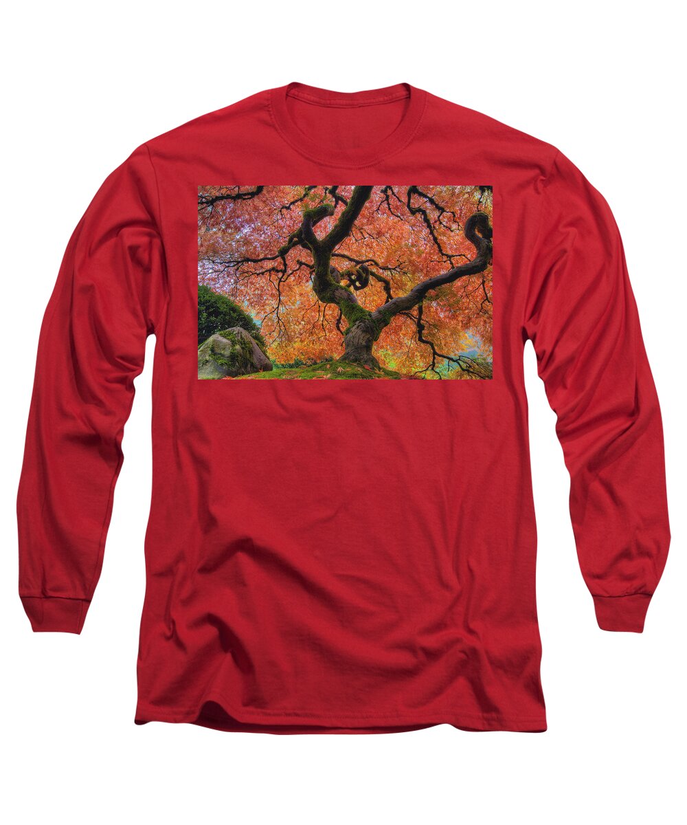 Japanese Long Sleeve T-Shirt featuring the photograph Japanese Maple Tree in Fall by David Gn