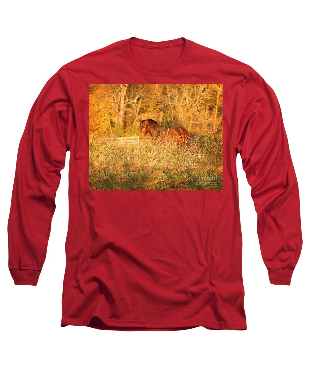 Horse Long Sleeve T-Shirt featuring the photograph Jonathan by Carol Lynn Coronios