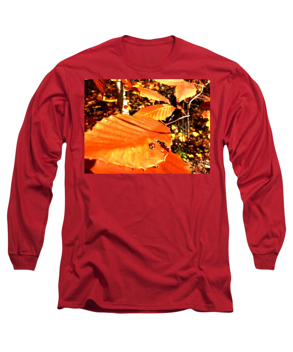 Ladybug Long Sleeve T-Shirt featuring the photograph Ladybug at Fall by Cristina Stefan