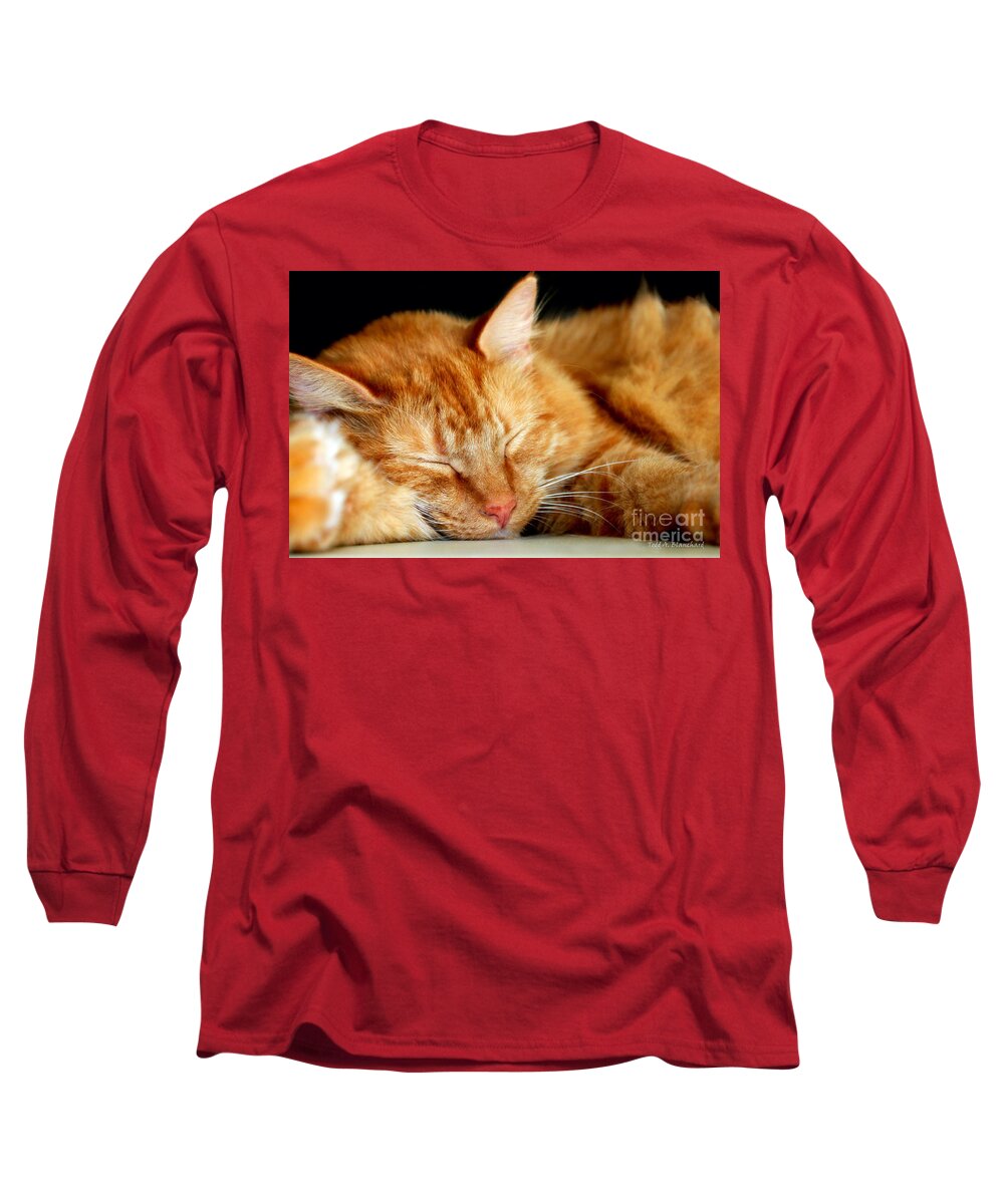 Feline Long Sleeve T-Shirt featuring the photograph Naptime by Todd Blanchard