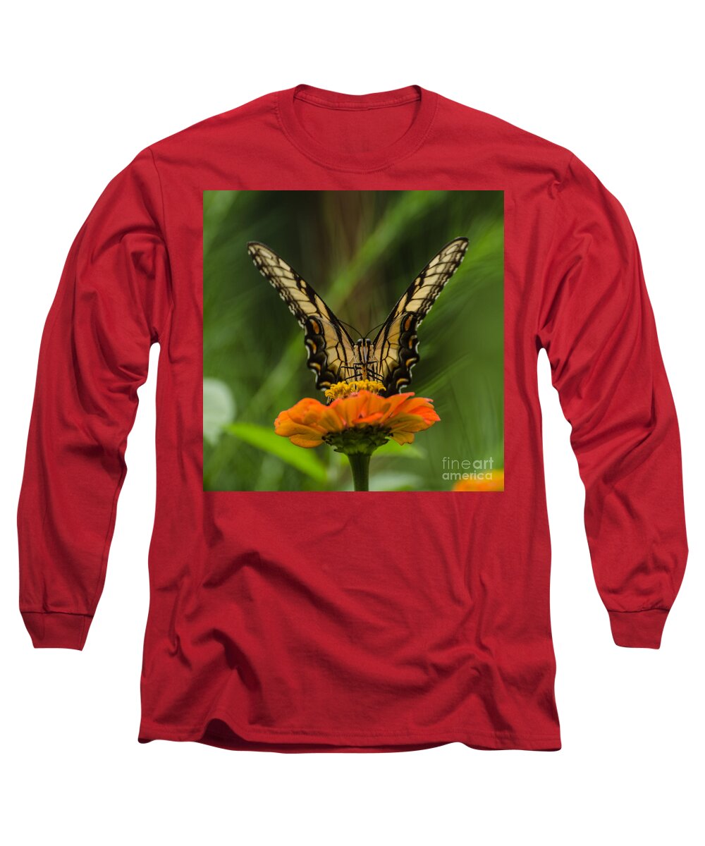 Insect Long Sleeve T-Shirt featuring the photograph Nature Stain Glass by Donna Brown