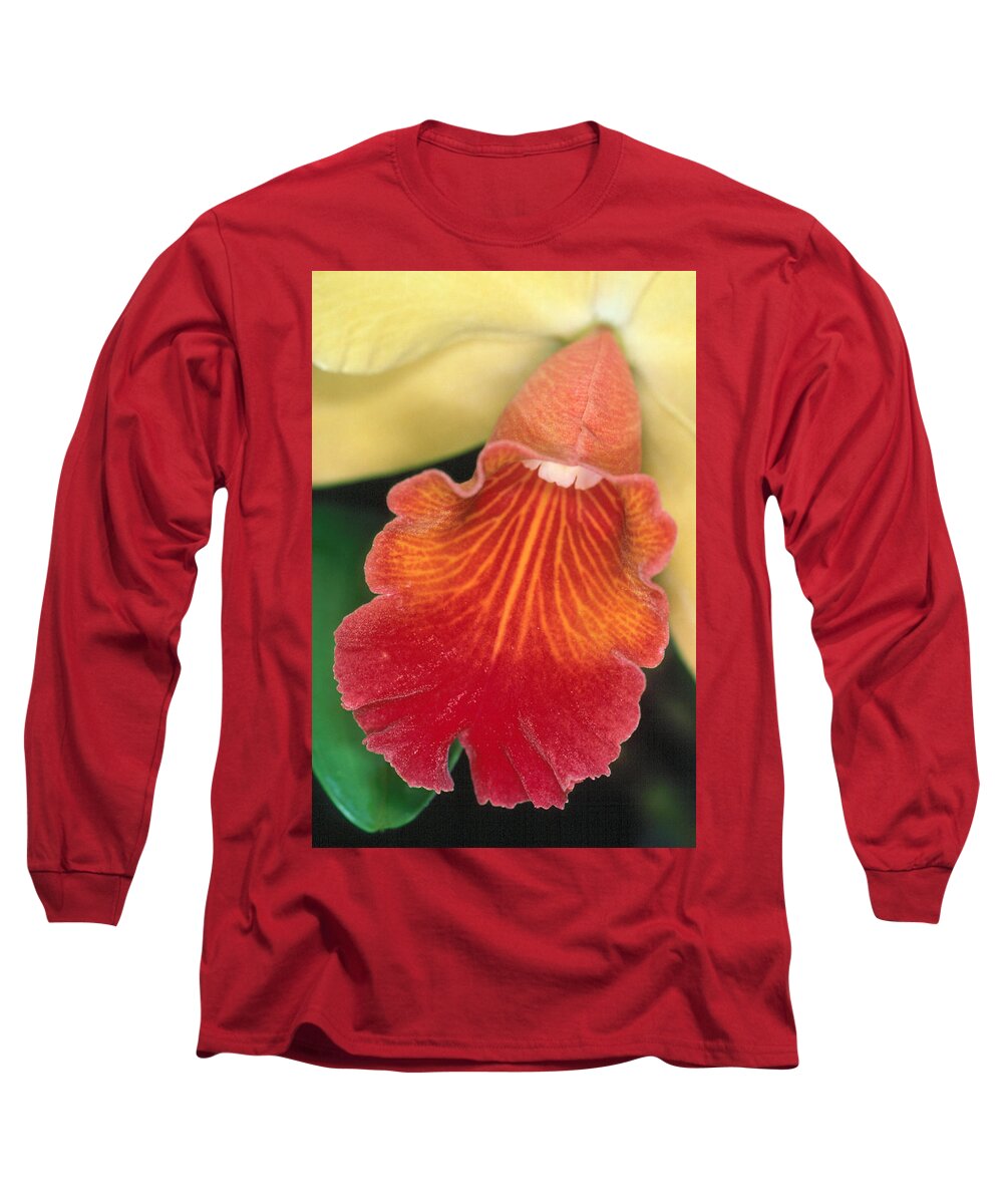 Flower Long Sleeve T-Shirt featuring the photograph Orchid 16 by Andy Shomock