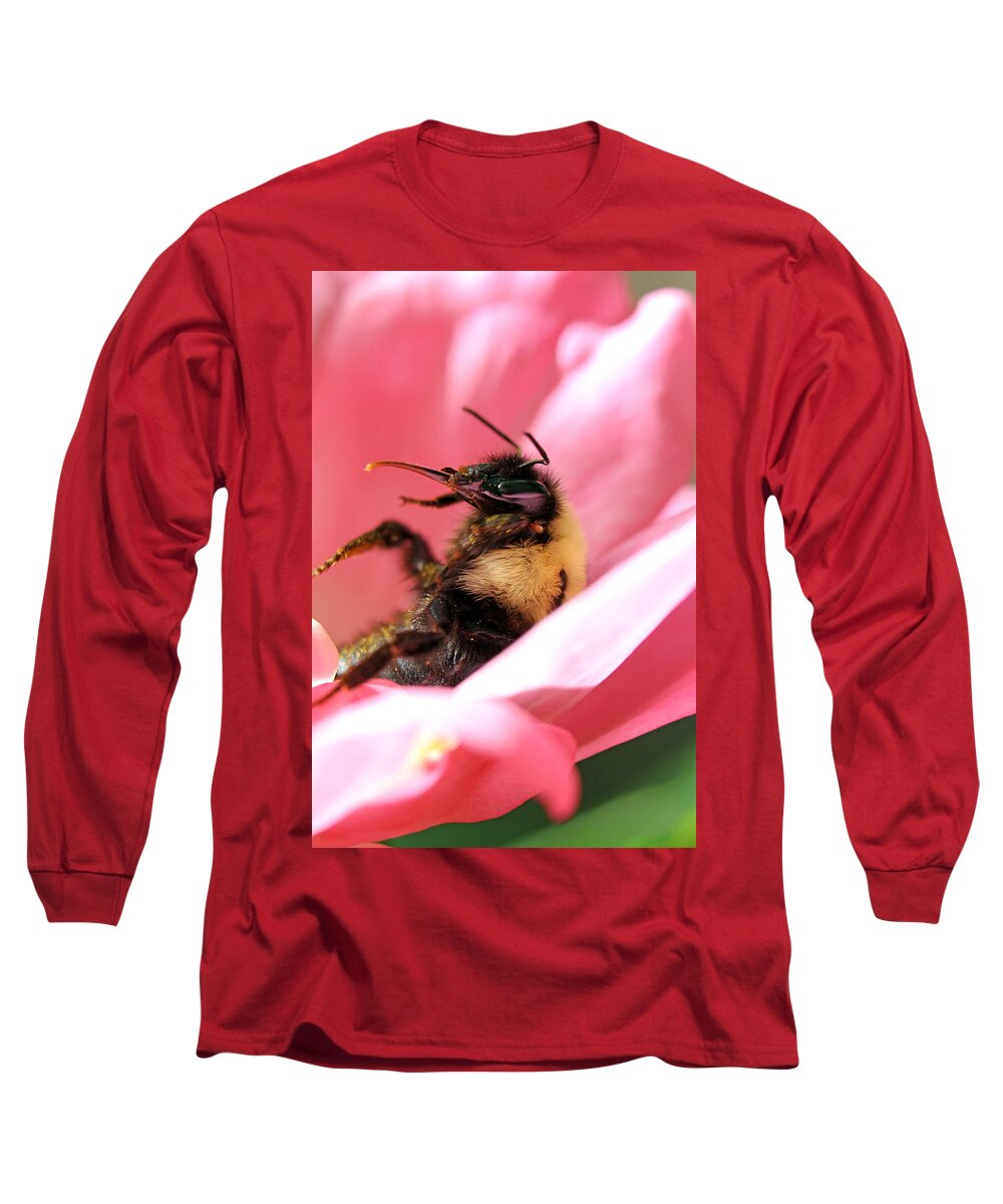 Insects Long Sleeve T-Shirt featuring the photograph 'Pollen High' by Jennifer Robin