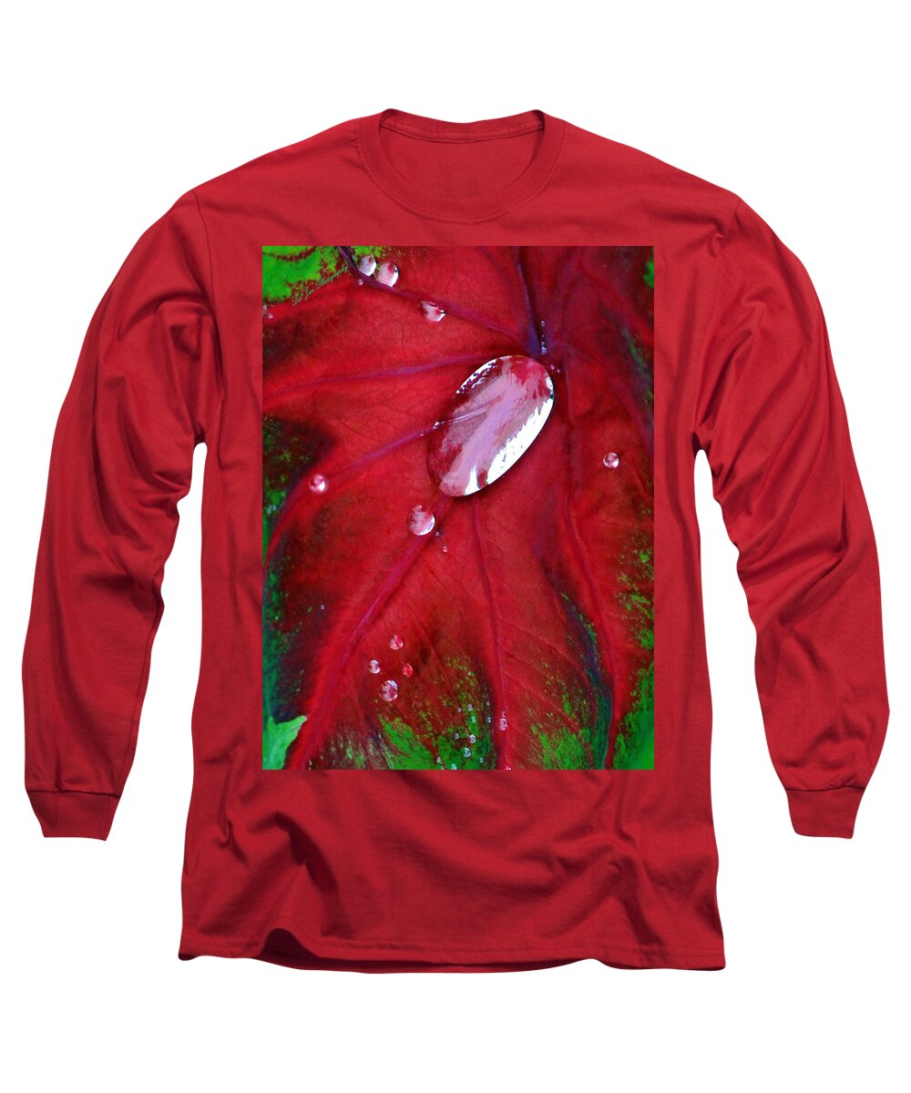 Coleus Long Sleeve T-Shirt featuring the photograph Red Coleus Leaf by Jeanette C Landstrom