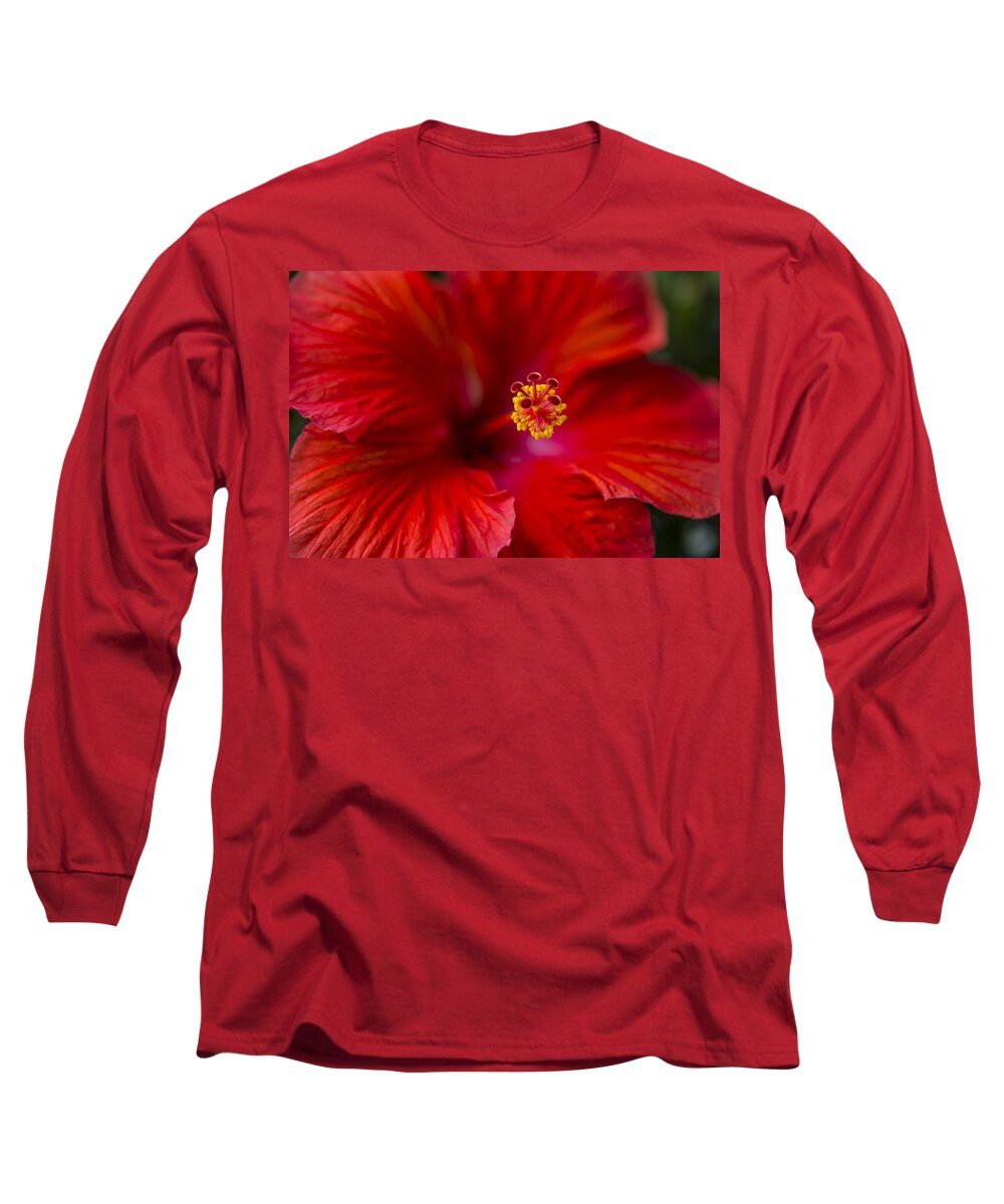 Red Long Sleeve T-Shirt featuring the photograph Red Hibiscus by Eduard Moldoveanu