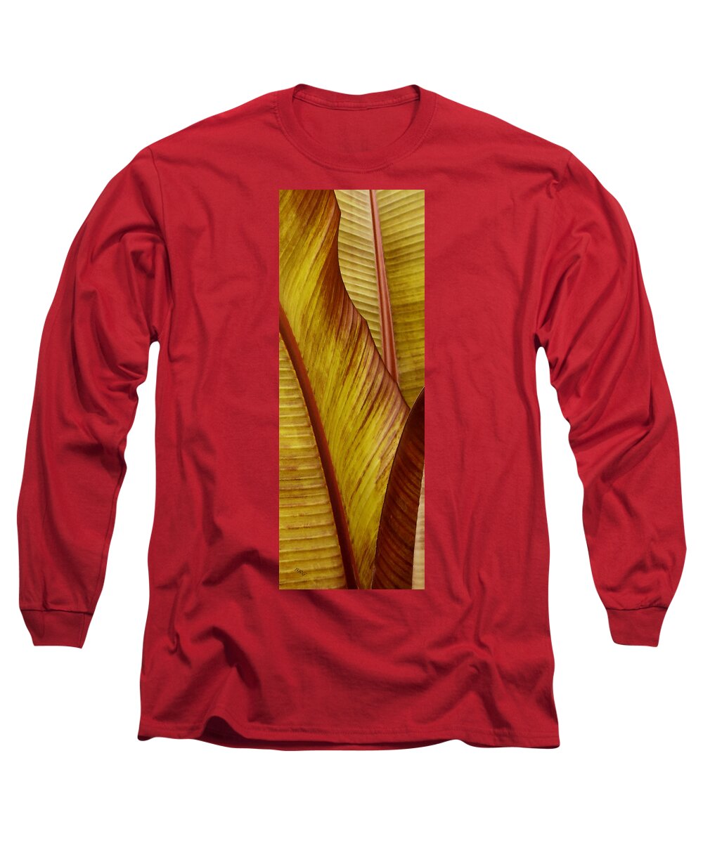 Botanical Abstract Long Sleeve T-Shirt featuring the photograph Repose - Leaf by Ben and Raisa Gertsberg