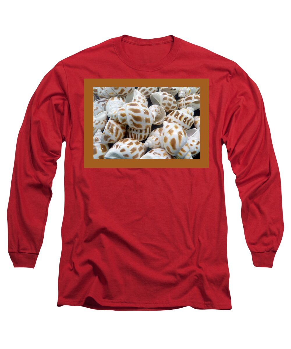 Shell Long Sleeve T-Shirt featuring the photograph Shells - 7 by Carla Parris
