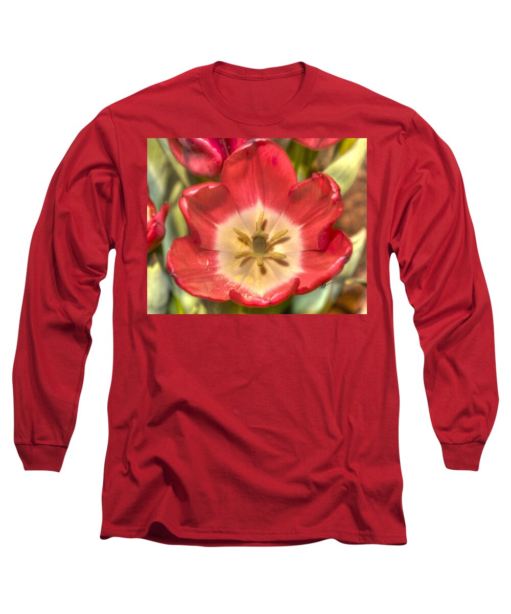 Spring Long Sleeve T-Shirt featuring the photograph Spring Red Tulip by Mark Valentine