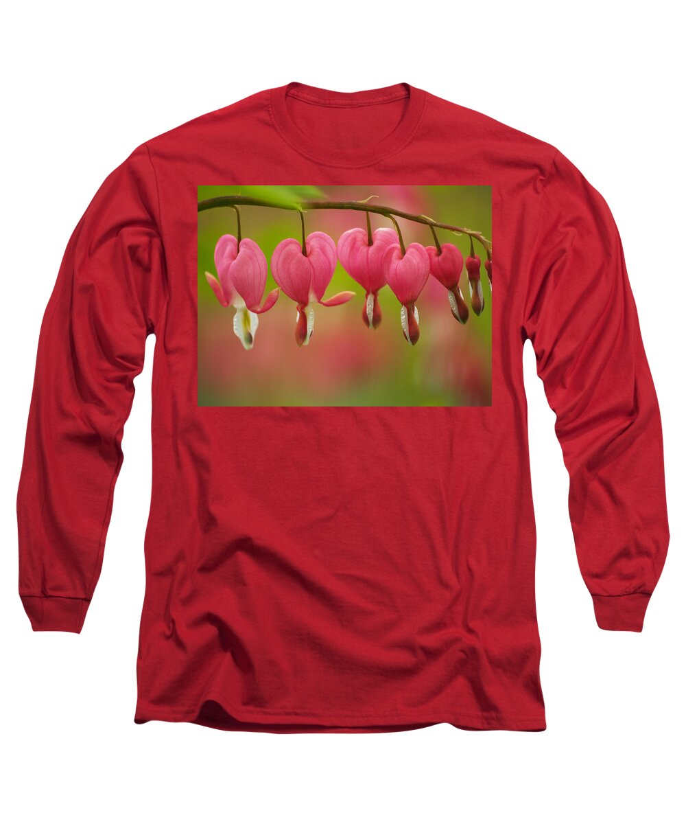 Flowers Long Sleeve T-Shirt featuring the photograph String Of Hearts by Dorothy Lee