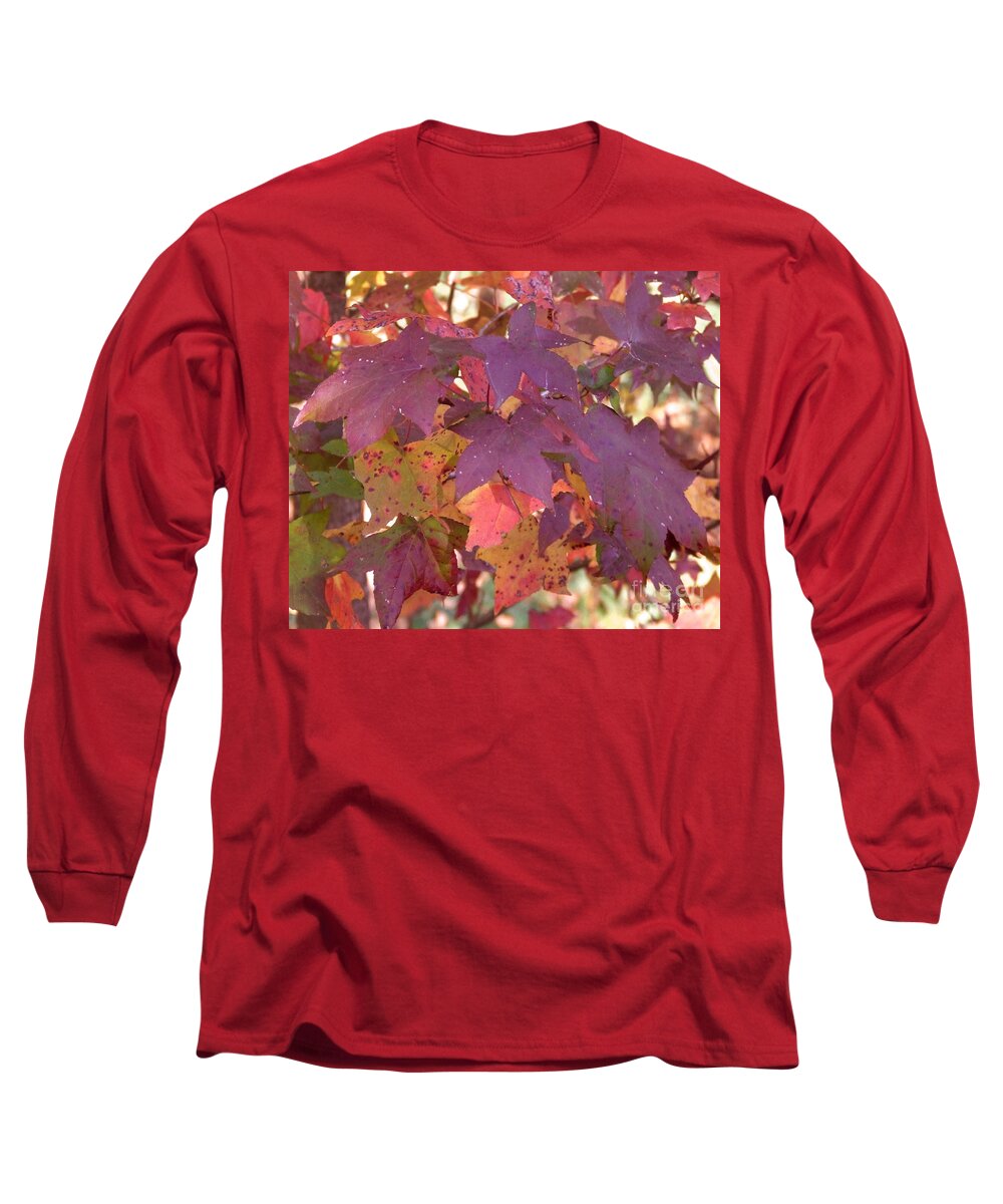 Fall Long Sleeve T-Shirt featuring the photograph Traces of fall by Andrea Anderegg
