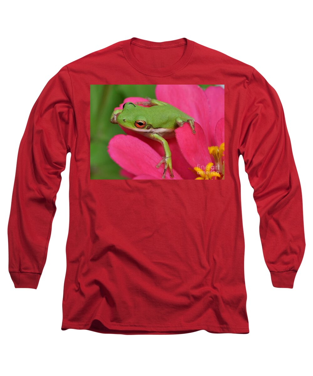 Frog Long Sleeve T-Shirt featuring the photograph Tree Frog On A Pink Flower by Kathy Baccari