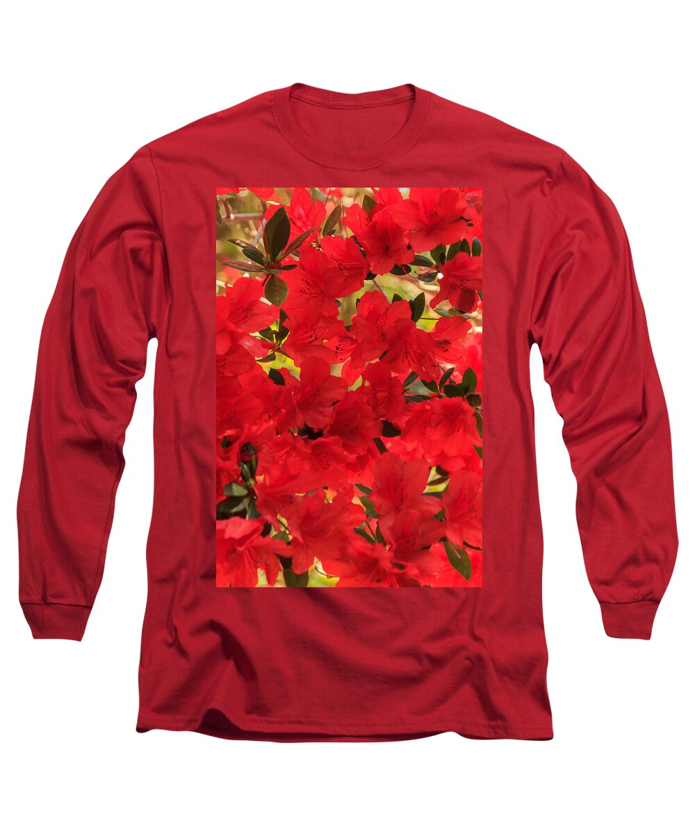 Flower Long Sleeve T-Shirt featuring the photograph Vibrant Azalea by Patricia Schaefer