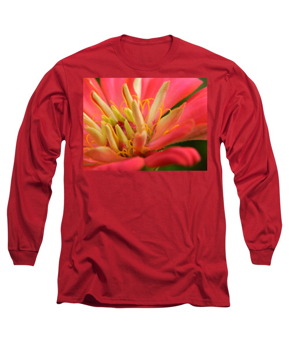 Flower Long Sleeve T-Shirt featuring the photograph Zinnia Styri by Karen Mesaros