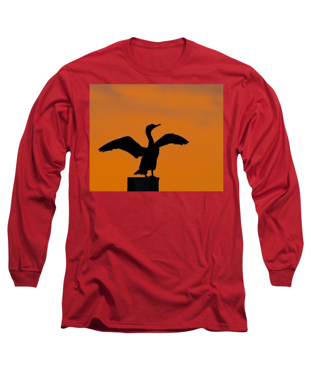 Double-crested Cormorant Long Sleeve T-Shirt featuring the photograph Dawn of a Double-crested Cormorant by Tony Beck