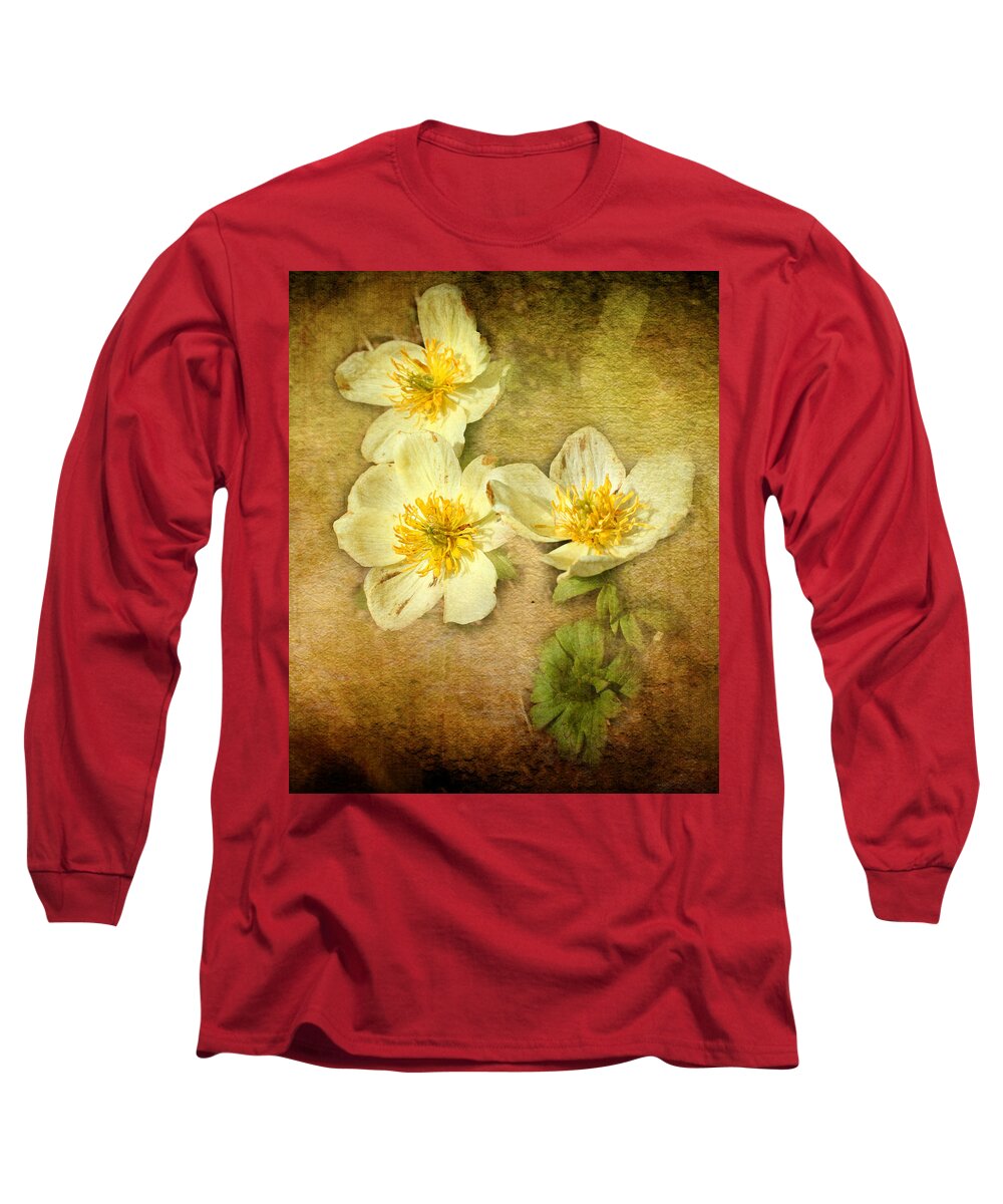 Flowers Long Sleeve T-Shirt featuring the photograph Delicate Beauties by Ellen Heaverlo