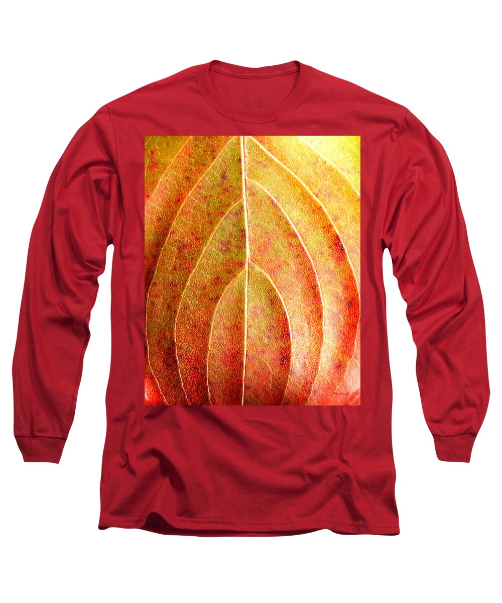 Fall Leaves Long Sleeve T-Shirt featuring the photograph Fall Leaf upclose by Duane McCullough