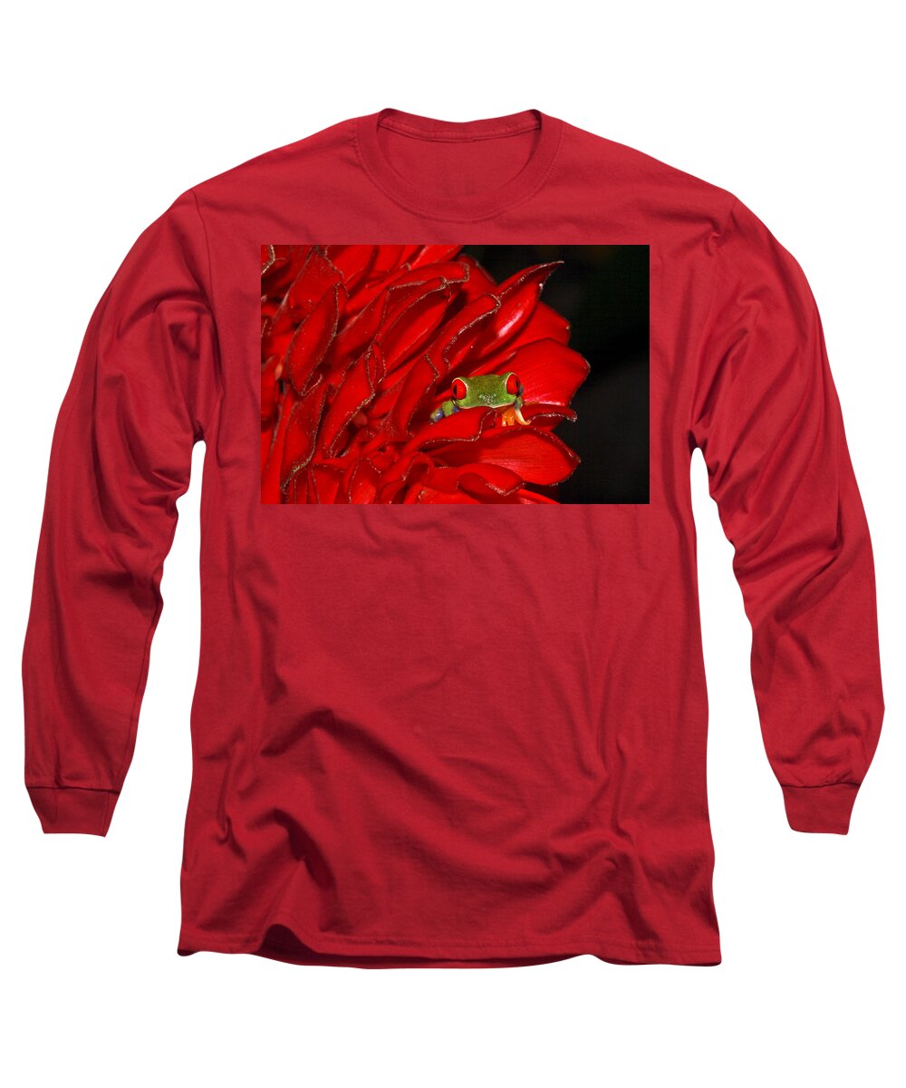 Frog Long Sleeve T-Shirt featuring the photograph Hiding by Tom and Pat Cory