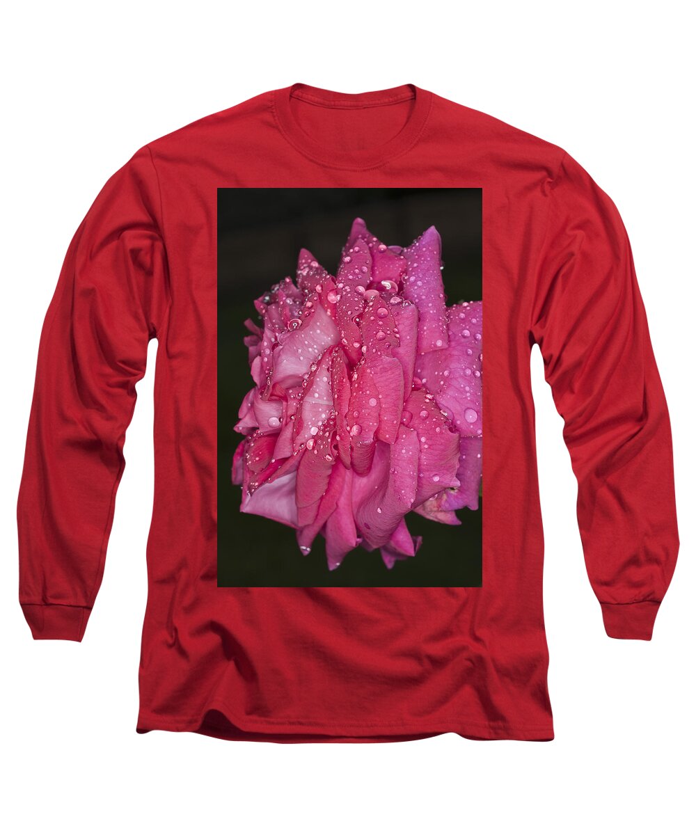 Pink Rose Long Sleeve T-Shirt featuring the photograph Pink Rose Wendy Cussons by Steve Purnell