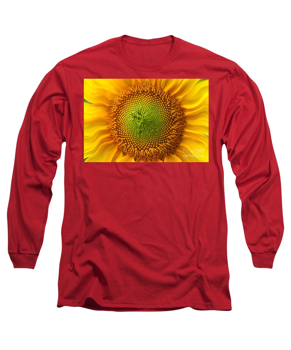 Sunflower Long Sleeve T-Shirt featuring the photograph Sunflower Fantasy by Benanne Stiens