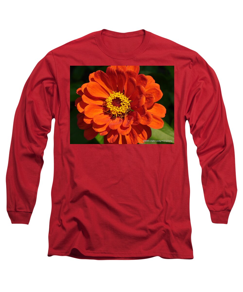 Flower Macro Long Sleeve T-Shirt featuring the photograph Sunny Delight by Lingfai Leung