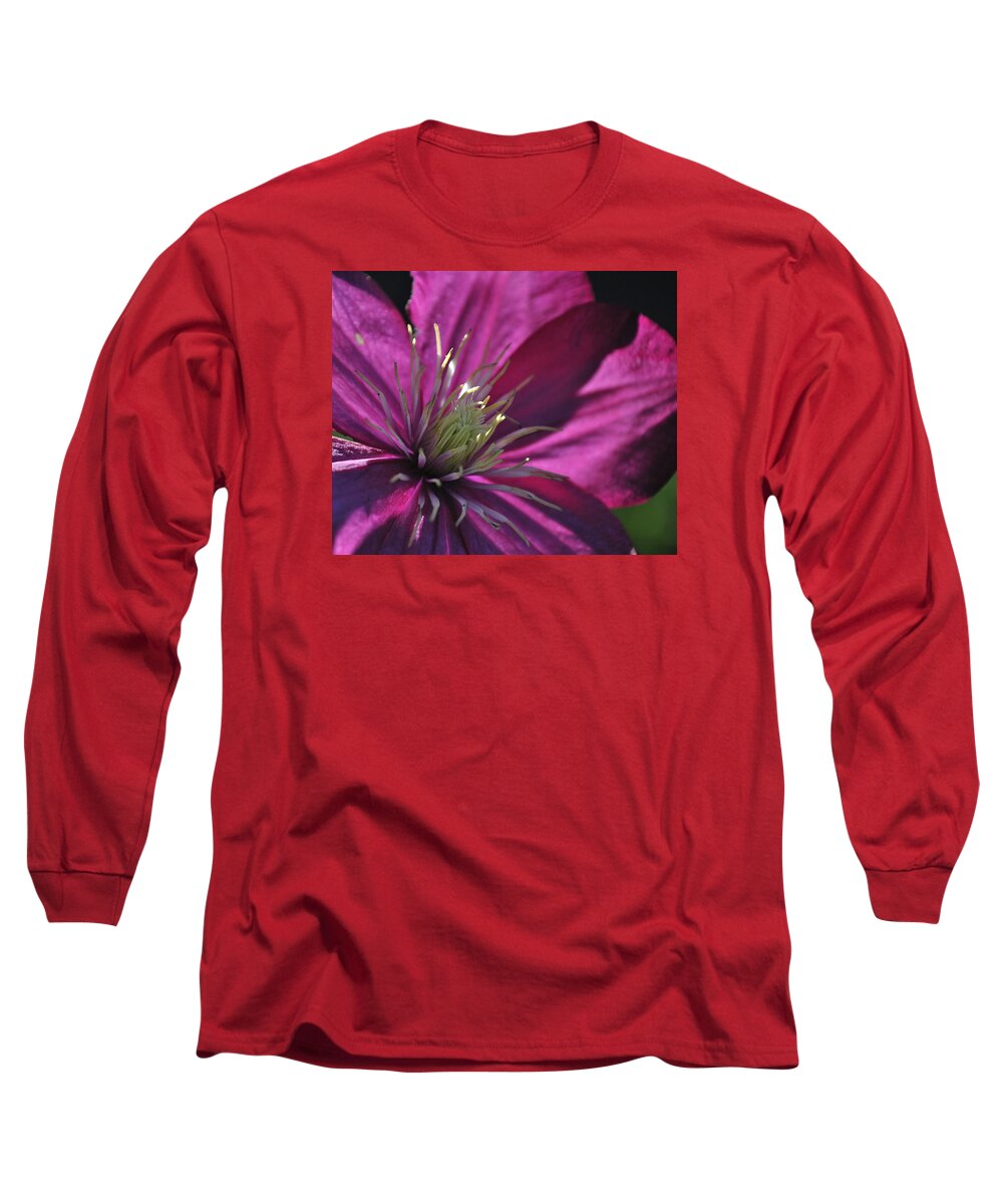 Bloom Long Sleeve T-Shirt featuring the photograph Bloom #1 by George Taylor