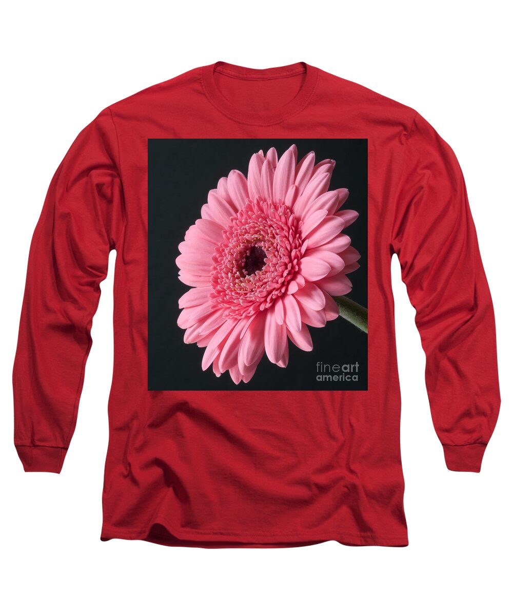 Gerbera Long Sleeve T-Shirt featuring the photograph Pink Gerbera #1 by Colin Rayner